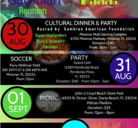 Cultural Dinner & Party